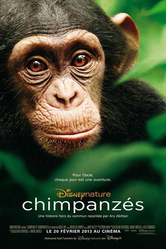 Chimpanzés — affiche alternative