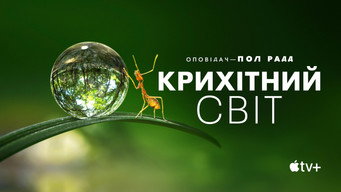 #8 Світ крихітних створінь