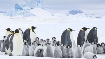 #3 March of the Penguins 2: The Next Step