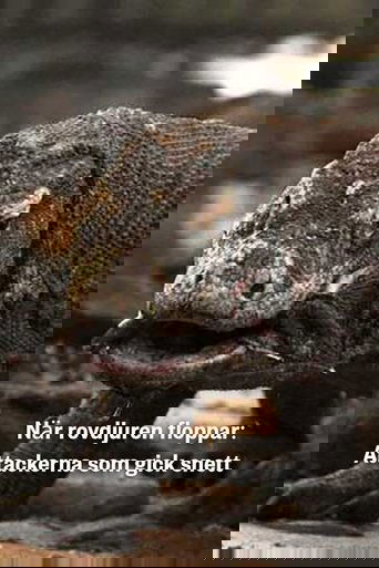 Predator Fail: When Prey Attacks (2020)