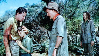 The Lion (1962)