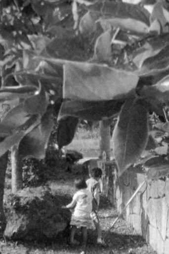 Cartell de Winter Bees