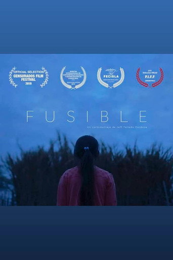 Fusible