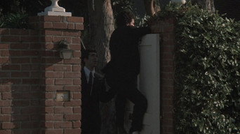 #37 The Long Goodbye