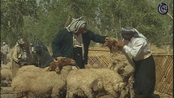 Episode 30 — Episode 30