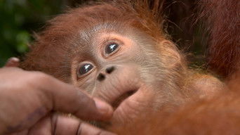 Cena de Pequenos e altos