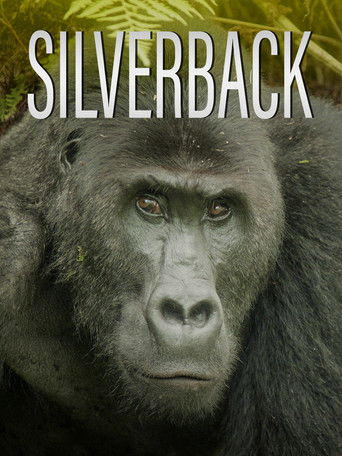 Silverback (2024)