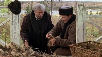 Episode 8 — Episode 8