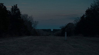 Galeria 3 - Little Woods