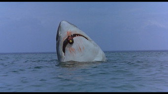 #3 The Last Shark