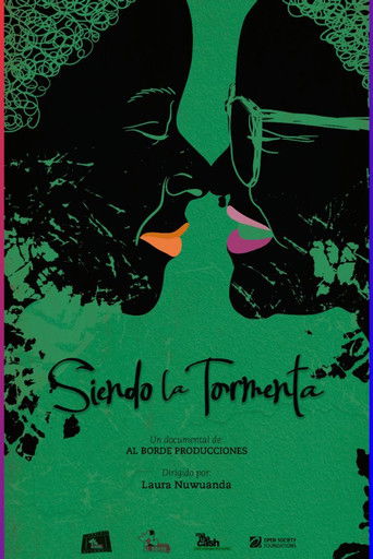 Being the Storm poster