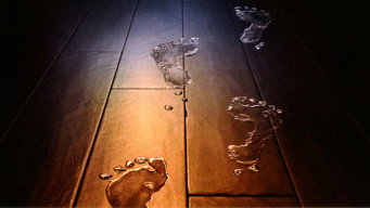 Still 9 from Lady in the Water