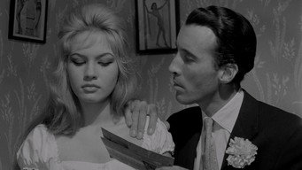 Дівчина ритму (1960)