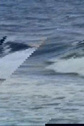 The Legend of Tibrogargan