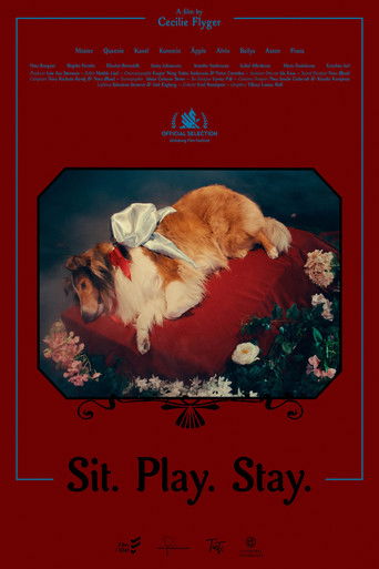 Sit. Play. Stay. poster