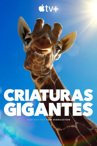 Póster del título