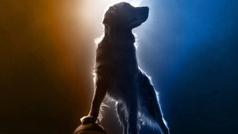 Air Bud Returns (2026)