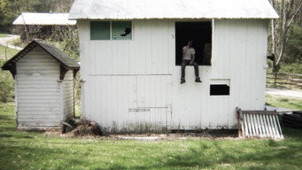 #17 Toad Road