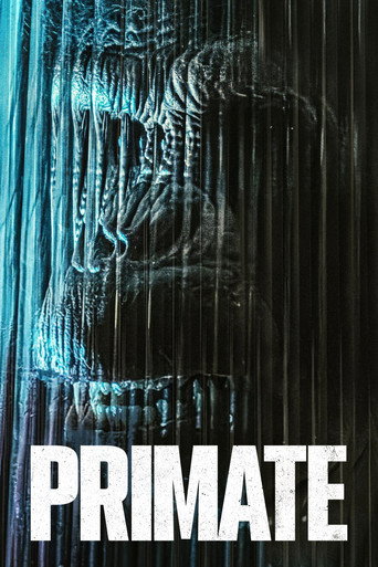Primate