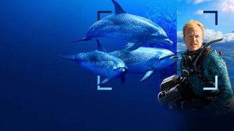 Galeria 2 - Delfines en primer plano con Bertie Gregory