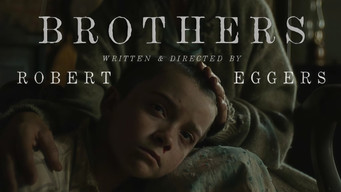 Brothers (2015)