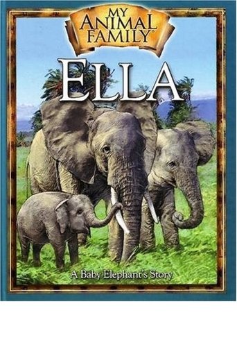 My Animal Family poster