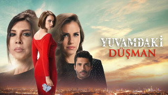 The Enemy in My House (2018)