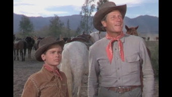 #11 Cattle Drive
