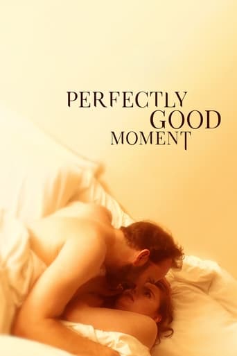 Poster of Perfectly Good Moment