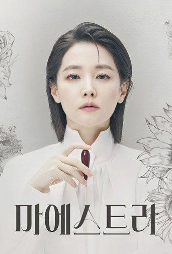 마에스트라 — Pósters 12