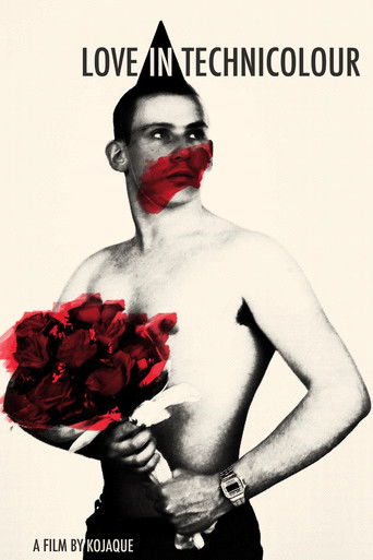 Love in Technicolour poster