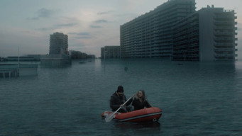 #4 The Swell