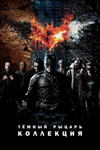 Тёмный рыцарь (Коллекция)