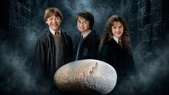 Harry Potter und ein Stein (2006)