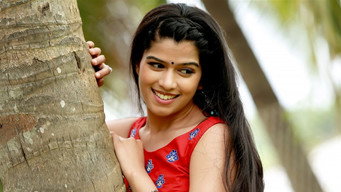 Rendu Rellu Aaru (2017)