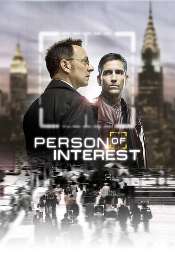 Person of Interest Poster