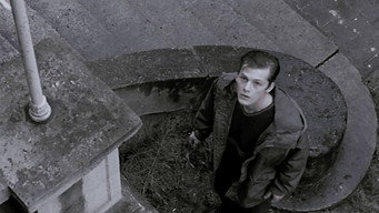 #20 Що не день, то неприємності