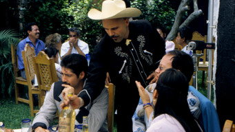 #8 Huapango