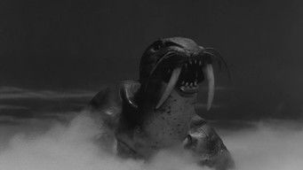 Episode 27 — The Disappearance of Flight 206