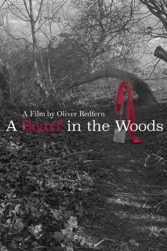 Cartell de A Scarf In The Woods