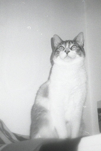 Jones