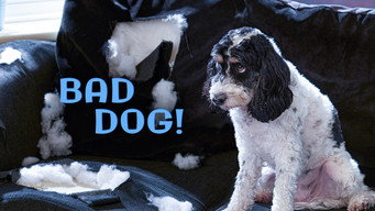 Bad Dog! (2010- )
