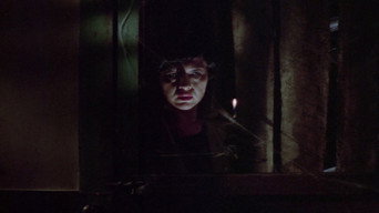 Wolf (1981)