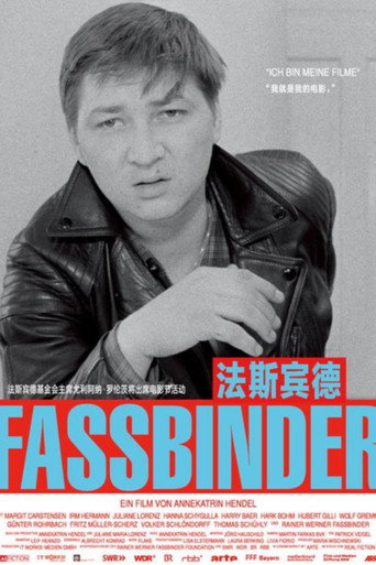 與法斯賓德對談 海報