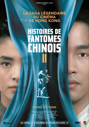Histoires de fantômes chinois 2 (1990)