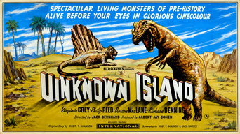 #4 Unknown Island
