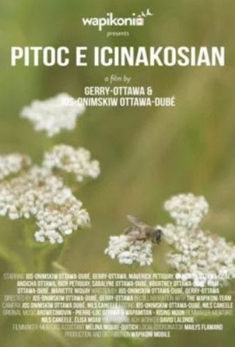 Pitoc E Icinakosian poster