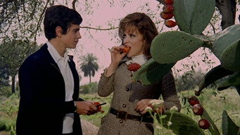 That Splendid November (1969)