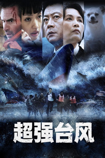 Super Typhoon (2008) movie poster