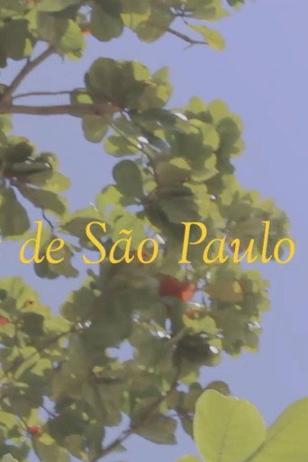 News from S&atilde;o Paulo (2019)